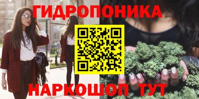 шишки Гатчина