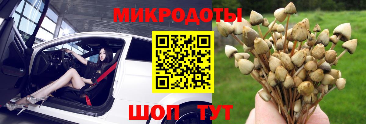 Псилоцибиновые грибы Psilocybe  Вход с VPN  Псилоцибиновые грибы MAGIC MUSHROOMS  Сегежа 